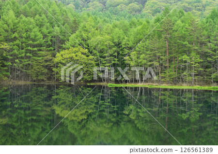 Mysterious Mishaka Pond 126561389