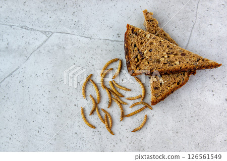 Yellow larva flour worm for powder. Dried worms eating as food or cooked insect meat on stone background. Good source of protein.  126561549