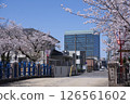 View of the city hall from the Oegawa Greenway during the Cherry Blossom Festival 126561602