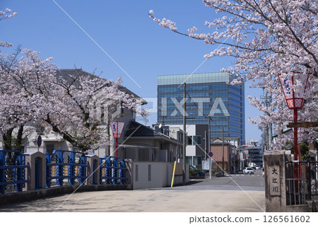 View of the city hall from the Oegawa Greenway during the Cherry Blossom Festival 126561602
