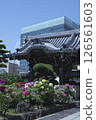 Jonenji temple gate and peony flowers with the city hall in the background 126561603