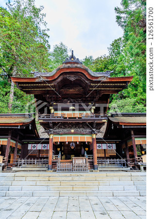 Early summer at Suwa Taisha Shrine, Shimosha and Akimiya, Suwa District, Nagano Prefecture 126561700