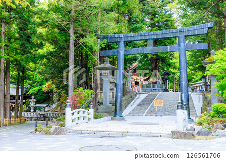 長野縣諏訪郡下社、秋宮的諏訪大社的初夏 126561706