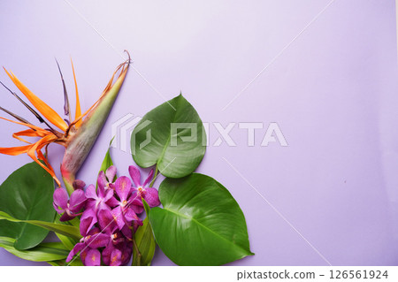 熱帶花卉背景材料 126561924