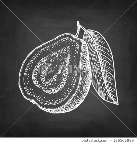 Sliced guava with leaf chalk sketch Sliced guava with leaf chalk sketch 126561989
