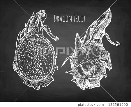 Dragon fruit and half chalk sketch. Dragon fruit and half chalk sketch. 126561990