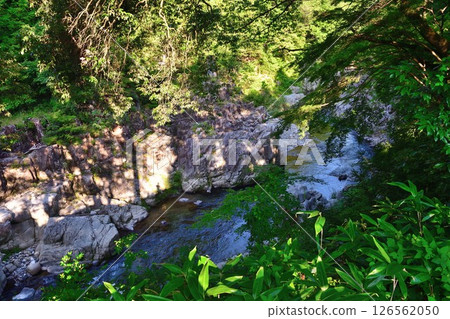 Oojagafuchi (Shiga Prefecture) Oojagafuchi (Shiga Prefecture) 126562050