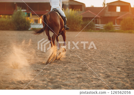 Woman rider jockey riding galloping horse racing at sand 126562056