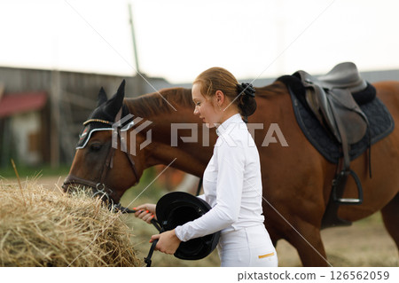 Woman rider jockey feeds horse at stable 126562059