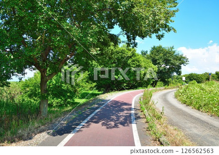 西之湖自行車道（滋賀縣） 126562563