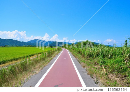 Nishinoko Cycling Road (Shiga Prefecture) Nishinoko Cycling Road (Shiga Prefecture) 126562564