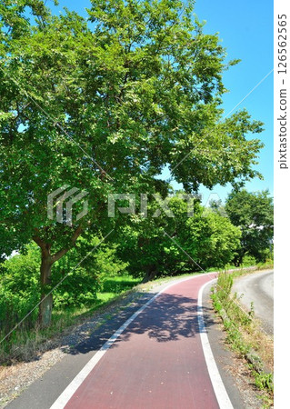 Nishinoko Cycling Road (Shiga Prefecture) 126562565