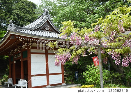 太光寺的山門和富士 太光寺的山門和富士 126562846
