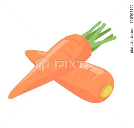 A simple carrot vector illustration in pale colors. A simple carrot vector illustration in pale colors. 126563132