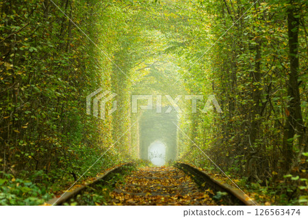 Railway Tracks in the Ukrainian Tunnel of Love Railway Tracks in the Ukrainian Tunnel of Love 126563474