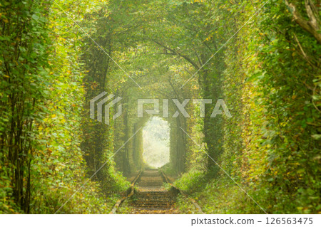 Crooked Rails in Ukrainian Tunnel of Love 126563475