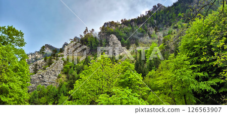 Valley With Steep Rocks And Forest At Mountain Rax in Lower Austria, Austria 126563907