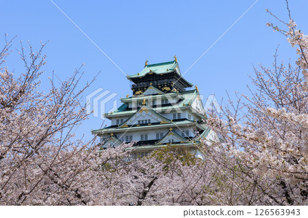 Osaka Castle in spring and cherry blossoms in full bloom (Chuo-ku, Osaka City, Osaka Prefecture) Osaka Castle in spring and cherry blossoms in full bloom (Chuo-ku, Osaka City, Osaka Prefecture) 126563943