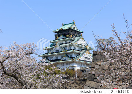 Osaka Castle in spring and cherry blossoms in full bloom (Chuo-ku, Osaka City, Osaka Prefecture) Osaka Castle in spring and cherry blossoms in full bloom (Chuo-ku, Osaka City, Osaka Prefecture) 126563968