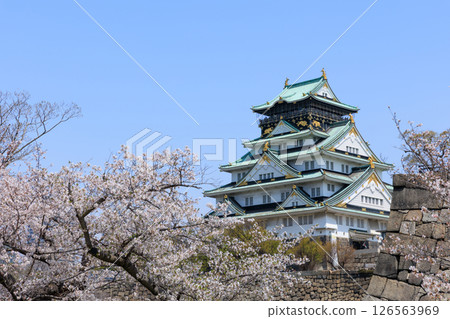 Osaka Castle in spring and cherry blossoms in full bloom (Chuo-ku, Osaka City, Osaka Prefecture) 126563969