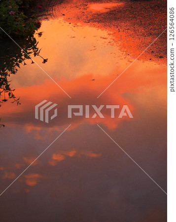 夕陽和雲彩映照在水坑里 夕陽和雲彩映照在水坑里 126564086