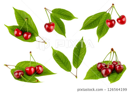set of cherry with leaves isolated on white background set of cherry with leaves isolated on white background 126564199