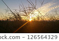 夕陽西下的港灣 126564329