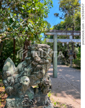一座風化的石獅雕像矗立在通往一座安靜的神社的道路上 126564457