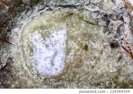 frozen coast sea in winter 126564544