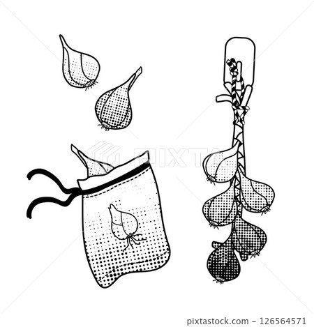 bunch of onions and reusable cloth bag with onion, black and white line art for eco-friendly living bunch of onions and reusable cloth bag with onion, black and white line art for eco-friendly living 126564571
