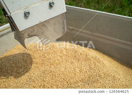 Discharge of paddy from combine auger to container Discharge of paddy from combine auger to container 126564625