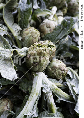 Artichokes in a market Artichokes in a market 126564680