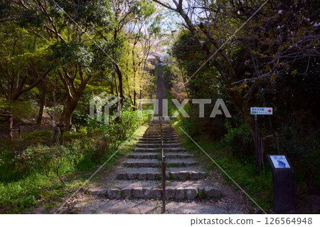 Stone steps of Mt. Nijo Stone steps of Mt. Nijo 126564948