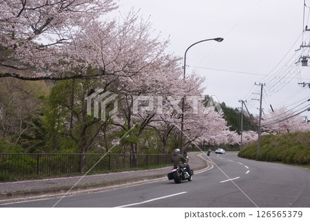 Touring the Kurama Highway in Kyoto 3 Touring the Kurama Highway in Kyoto 3 126565379