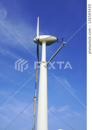 Furyu Kujira (Wind Power Generation, Kaze No Mieru Oka Park) 126565439