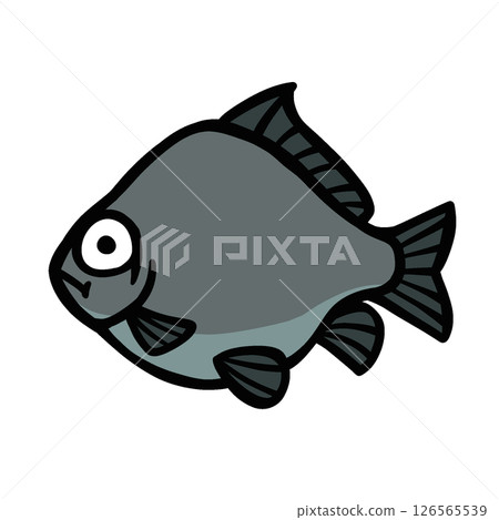 鯽魚的簡單插圖 126565539