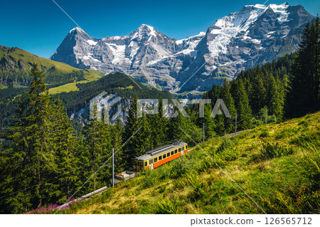 Electric train and Jungfrau mountains in background, Murren, Switzerland 126565712