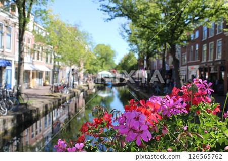 Flower bed in the old town of Delft, Netherlands 126565762