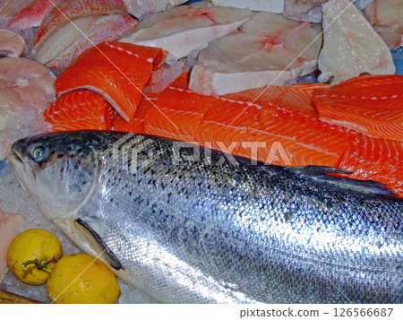 Atlantic Salmon Fish Market Atlantic Salmon Fish Market 126566687