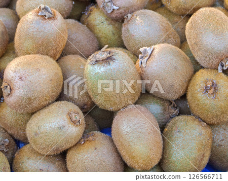 Kiwi Fruit Market 126566711
