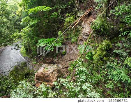 Disasters: Falling rocks and trees 126566781