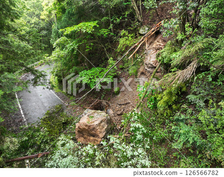 災害：落石和樹木 126566782