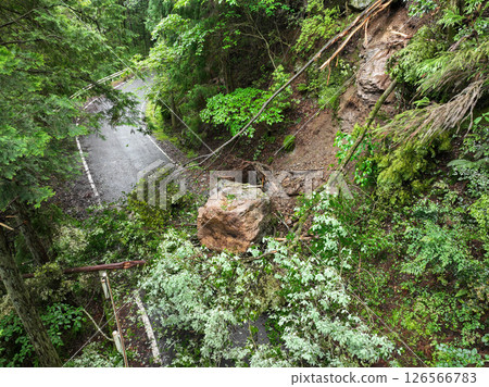 災害：落石和樹木 126566783