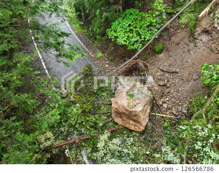 災害:落石和樹木 災害:落石和樹木 126566786