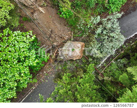 Disasters: Falling rocks and trees Disasters: Falling rocks and trees 126566787