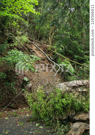 Disasters: Falling rocks and trees 126566811