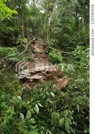 Disasters: Falling rocks and trees Disasters: Falling rocks and trees 126566826
