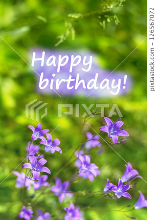 Radiant bellflowers on birthday card with happy birthday message Radiant bellflowers on birthday card with happy birthday message 126567072