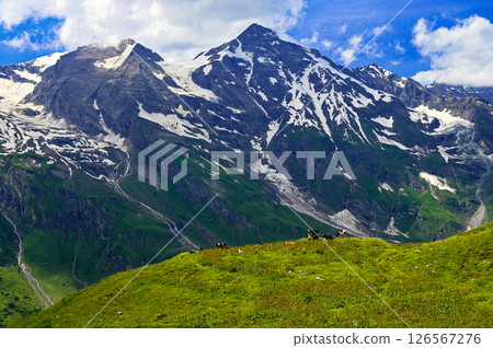 Grossglockner high mountain road in Austria. Surrounded by mountains and green forests. Landscape with nature in the Alps. A great place for sports, recreation and outdoor activity holidays. Grossglockner high mountain road in Austria. Surrounded by mountains and green forests. Landscape with nature in the Alps. A great place for sports, recreation and outdoor activity holidays. 126567276