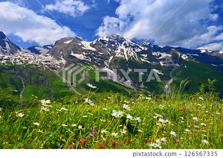 Grossglockner high mountain road in Austria. Surrounded by mountains and green forests. Landscape with nature in the Alps. A great place for sports, recreation and outdoor activity holidays 126567335